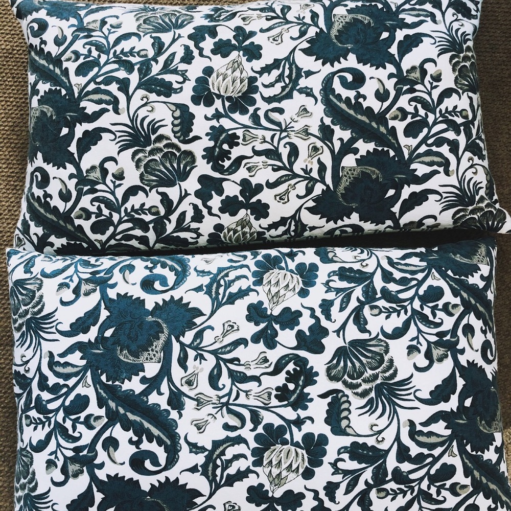 Blue and Tan Paisley Pillow Set